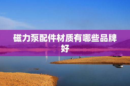 磁力泵配件材质有哪些品牌好
