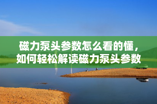 磁力泵头参数怎么看的懂，如何轻松解读磁力泵头参数？