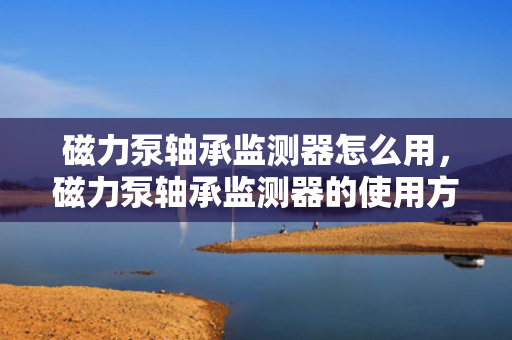 磁力泵轴承监测器怎么用，磁力泵轴承监测器的使用方法
