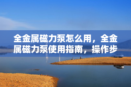 全金属磁力泵怎么用，全金属磁力泵使用指南，操作步骤与注意事项