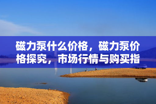 磁力泵什么价格，磁力泵价格探究，市场行情与购买指南