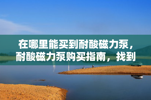 在哪里能买到耐酸磁力泵，耐酸磁力泵购买指南，找到最适合你的购买渠道
