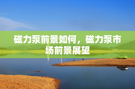 磁力泵前景如何，磁力泵市场前景展望