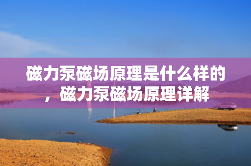 磁力泵磁场原理是什么样的，磁力泵磁场原理详解