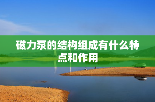 磁力泵的结构组成有什么特点和作用