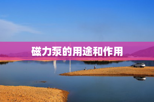 磁力泵的用途和作用