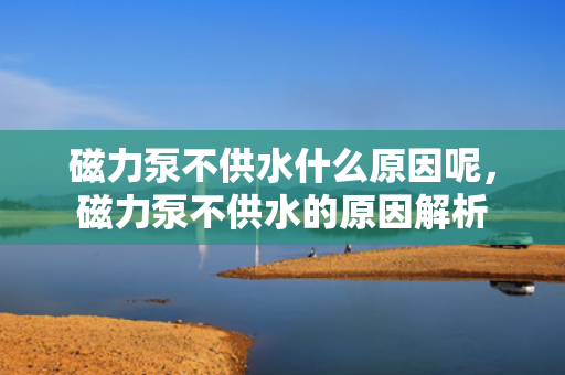 磁力泵不供水什么原因呢，磁力泵不供水的原因解析
