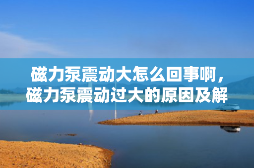 磁力泵震动大怎么回事啊，磁力泵震动过大的原因及解决方法