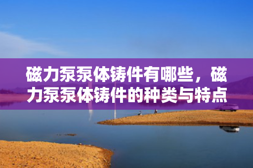 磁力泵泵体铸件有哪些，磁力泵泵体铸件的种类与特点