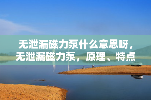 无泄漏磁力泵什么意思呀，无泄漏磁力泵，原理、特点及应用解析