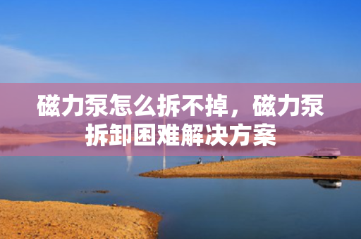 磁力泵怎么拆不掉，磁力泵拆卸困难解决方案