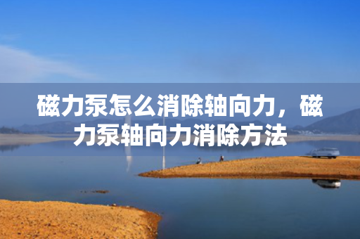 磁力泵怎么消除轴向力，磁力泵轴向力消除方法