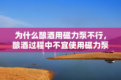 为什么酿酒用磁力泵不行，酿酒过程中不宜使用磁力泵的原因解析