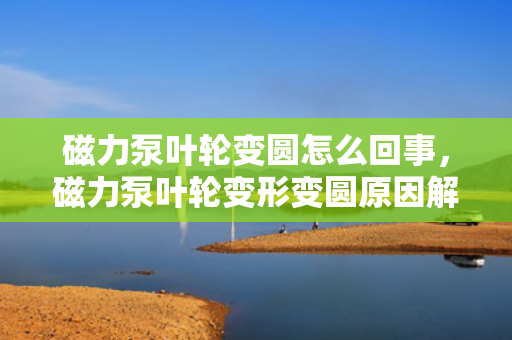 磁力泵叶轮变圆怎么回事，磁力泵叶轮变形变圆原因解析