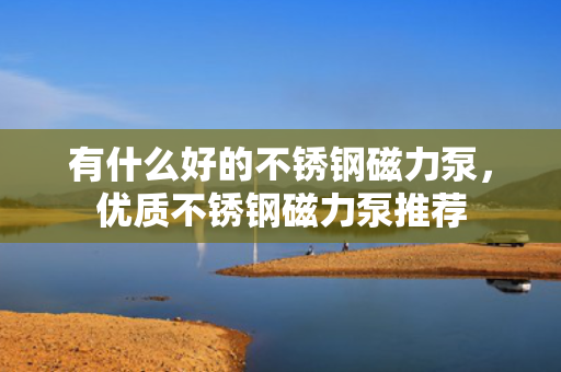 有什么好的不锈钢磁力泵，优质不锈钢磁力泵推荐
