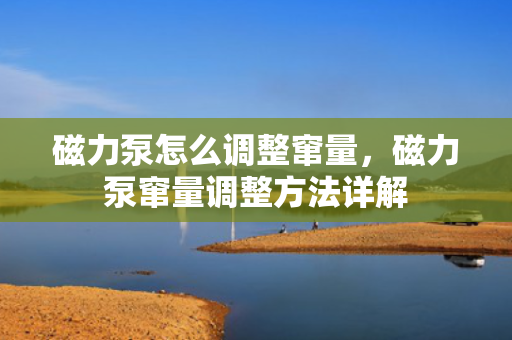 磁力泵怎么调整窜量，磁力泵窜量调整方法详解