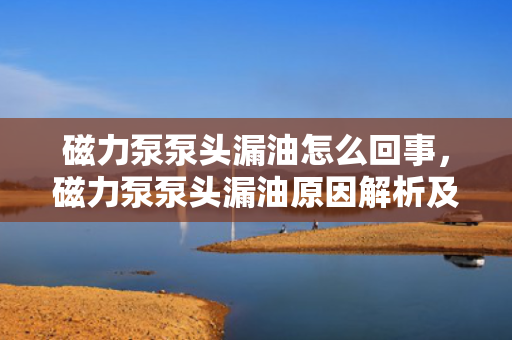 磁力泵泵头漏油怎么回事，磁力泵泵头漏油原因解析及处理方法