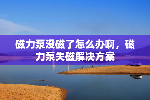 磁力泵没磁了怎么办啊，磁力泵失磁解决方案