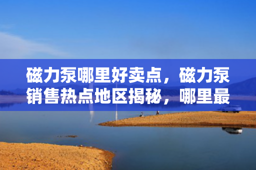 磁力泵哪里好卖点，磁力泵销售热点地区揭秘，哪里最好卖？
