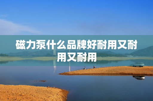 磁力泵什么品牌好耐用又耐用又耐用
