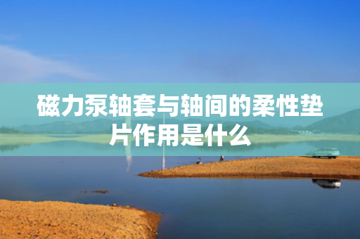 磁力泵轴套与轴间的柔性垫片作用是什么