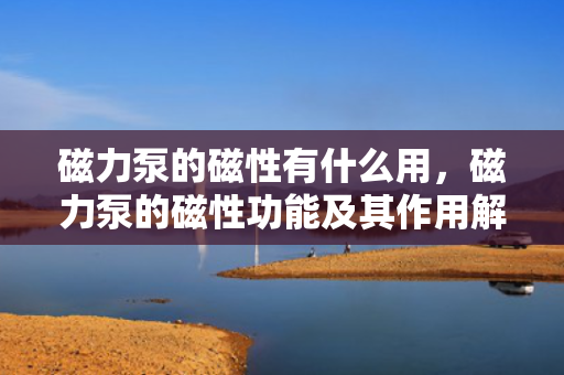 磁力泵的磁性有什么用，磁力泵的磁性功能及其作用解析