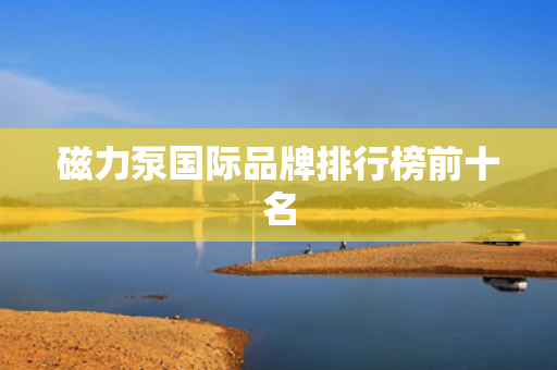 磁力泵国际品牌排行榜前十名