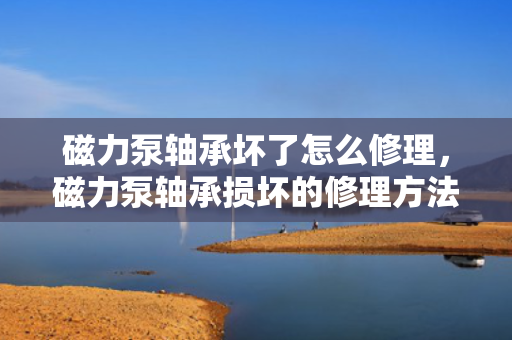 磁力泵轴承坏了怎么修理，磁力泵轴承损坏的修理方法与步骤