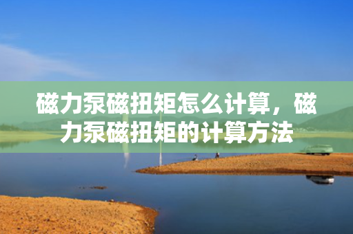 磁力泵磁扭矩怎么计算，磁力泵磁扭矩的计算方法