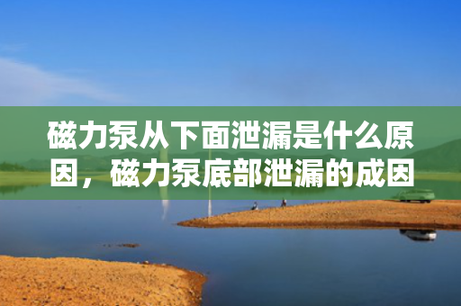 磁力泵从下面泄漏是什么原因，磁力泵底部泄漏的成因解析