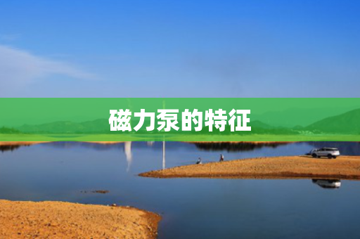 磁力泵的特征