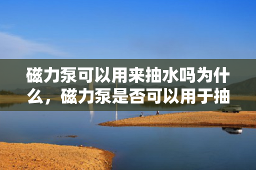 磁力泵可以用来抽水吗为什么，磁力泵是否可以用于抽水及其原因解析