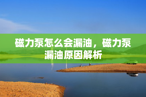 磁力泵怎么会漏油，磁力泵漏油原因解析