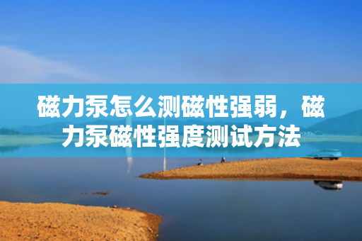 磁力泵怎么测磁性强弱，磁力泵磁性强度测试方法