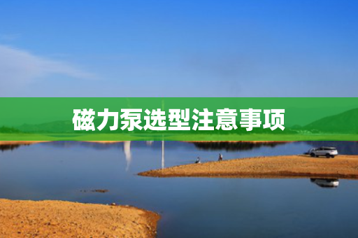 磁力泵选型注意事项