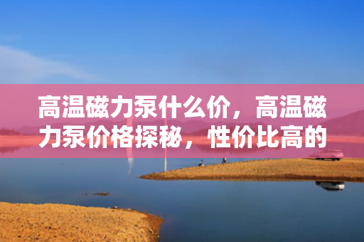 高温磁力泵什么价，高温磁力泵价格探秘，性价比高的选择