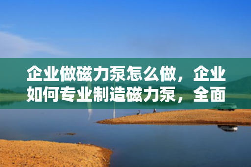 企业做磁力泵怎么做，企业如何专业制造磁力泵，全面指南