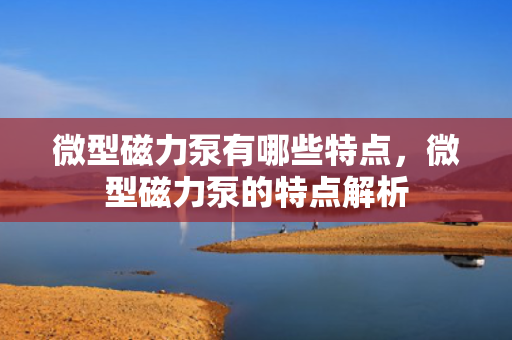 微型磁力泵有哪些特点，微型磁力泵的特点解析