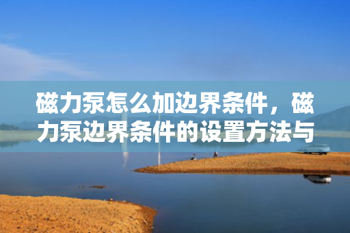 磁力泵怎么加边界条件，磁力泵边界条件的设置方法与步骤