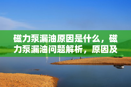 磁力泵漏油原因是什么，磁力泵漏油问题解析，原因及应对措施