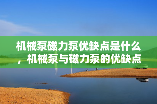 机械泵磁力泵优缺点是什么，机械泵与磁力泵的优缺点解析