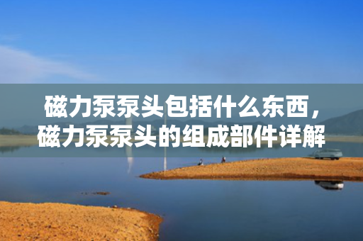 磁力泵泵头包括什么东西，磁力泵泵头的组成部件详解