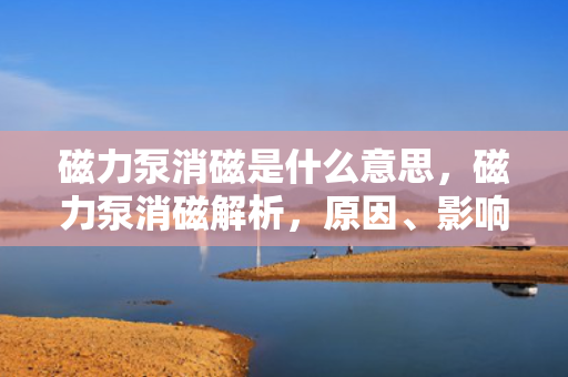 磁力泵消磁是什么意思，磁力泵消磁解析，原因、影响及应对措施