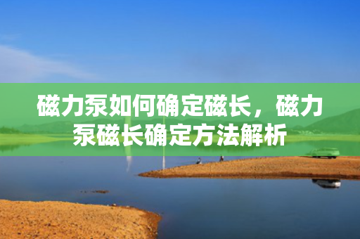 磁力泵如何确定磁长，磁力泵磁长确定方法解析
