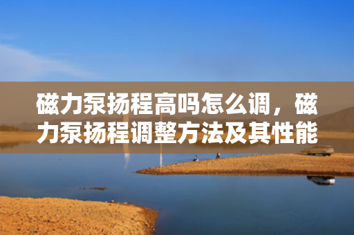 磁力泵扬程高吗怎么调，磁力泵扬程调整方法及其性能提升策略