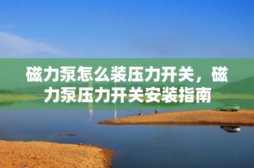 磁力泵怎么装压力开关，磁力泵压力开关安装指南
