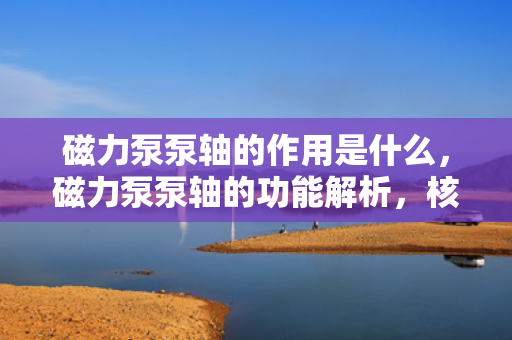 磁力泵泵轴的作用是什么，磁力泵泵轴的功能解析，核心作用与运转机制