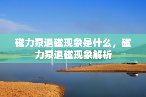 磁力泵退磁现象是什么，磁力泵退磁现象解析