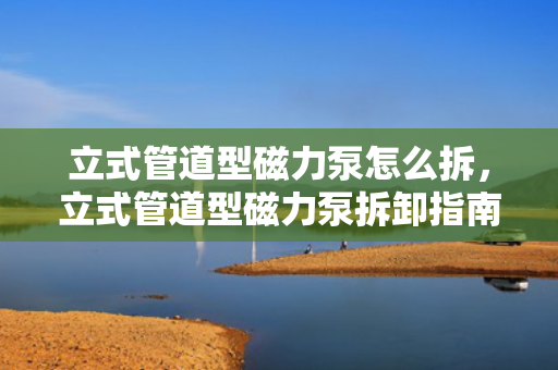 立式管道型磁力泵怎么拆，立式管道型磁力泵拆卸指南