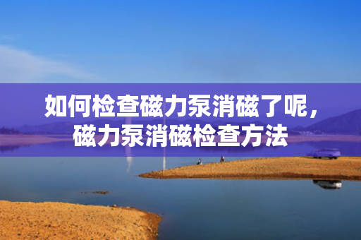 如何检查磁力泵消磁了呢，磁力泵消磁检查方法